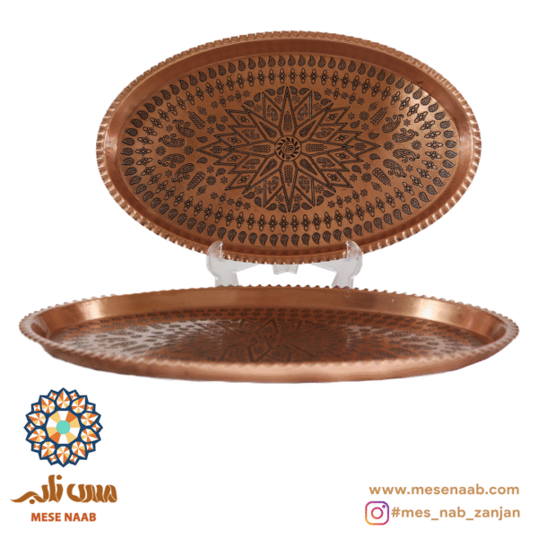 سینی بیضی قرمز نانو - تصویر 2