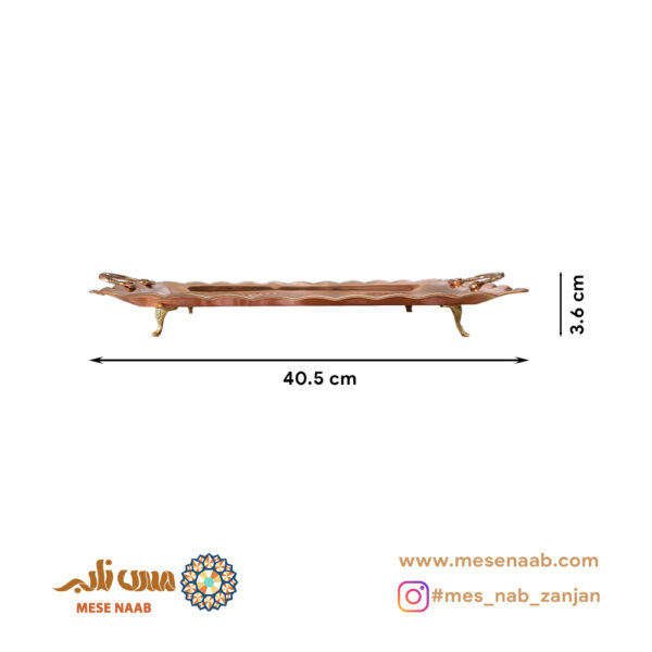 سيني مستطيل پروانه دسته پايه دار نانو - تصویر 2
