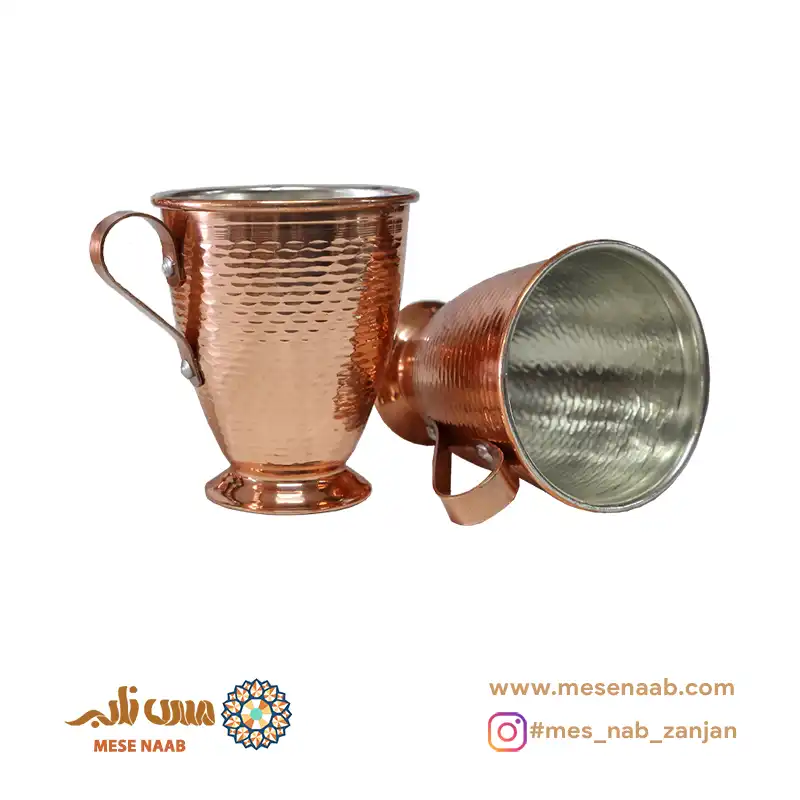 Insta_Dimenstion livan safavi2