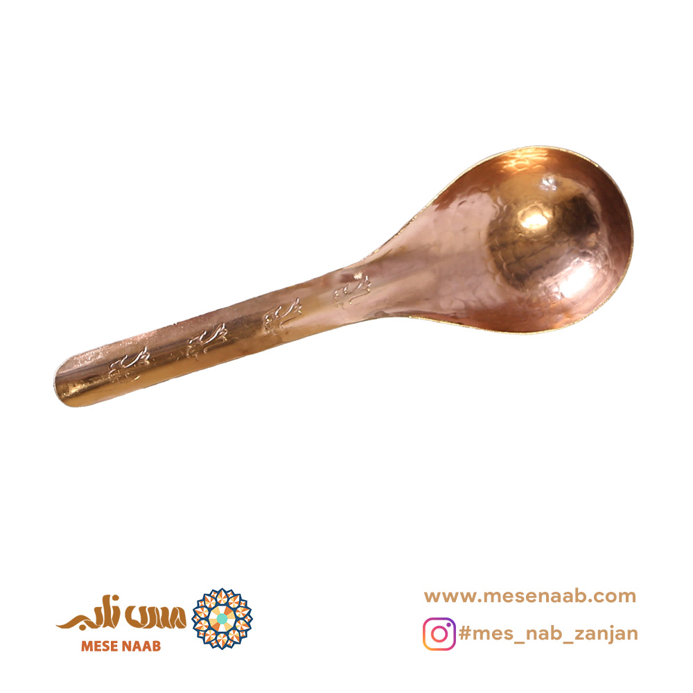 قاشق آجیل خوری نانو