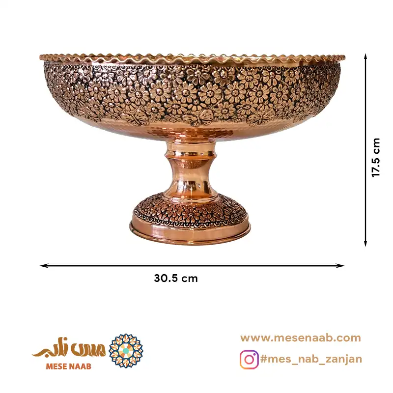 میوه خوری آریایی نانو