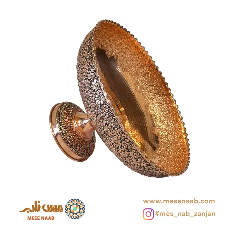 میوه خوری آریایی نانو
