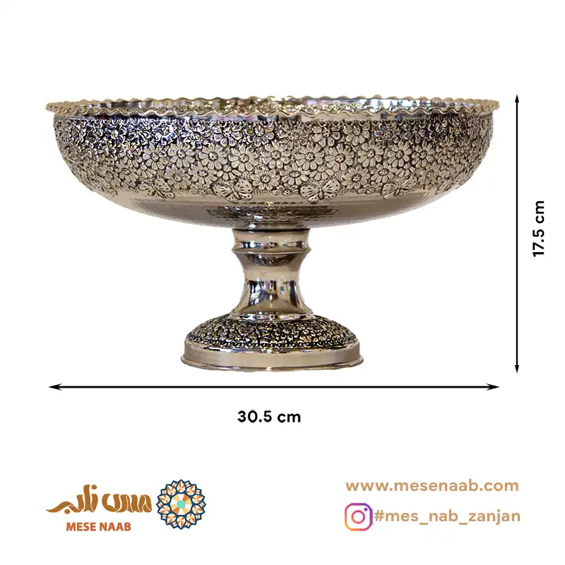 میوه خوری آریایی کرم نانو