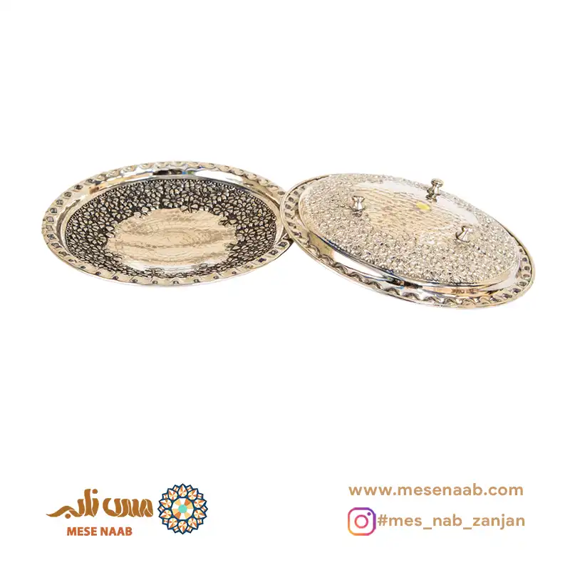 پیش دستی آریایی کروم نانو
